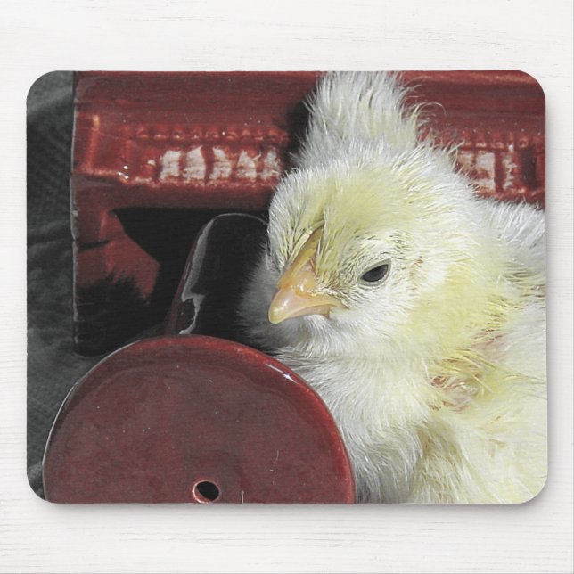 Piano Chick Vintag Look Foto Mousepad (Vorne)