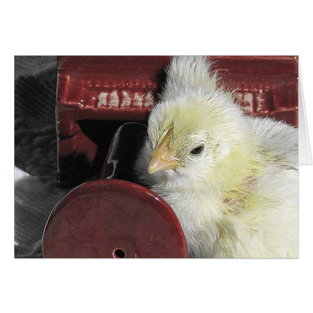 Piano Chick Vintag Look Jedes Anlasses (Vorderseite (Horizontal))