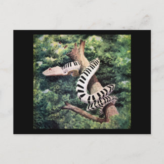 Piano Snake Postkarte