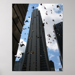Piazza der Bank-eine gegen Tauben-Entweichen Poster