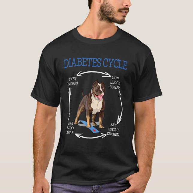 Pibulle Diabetes Lebenszyklus Diabetes Bewusstsein T-Shirt (Vorderseite)