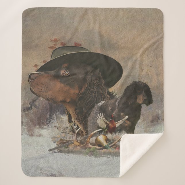 Picardie Spaniel , Jagdsaison Sherpadecke (Vorderseite)