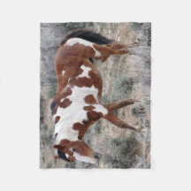 Picasso-Ikone des Sand-Waschbeckens, Colorado