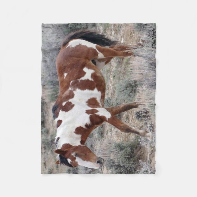 Picasso-Ikone des Sand-Waschbeckens, Colorado Fleecedecke (Vorderseite)