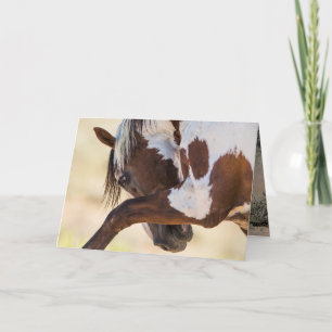 Picasso schlägt Wildes Pferd Grußkarte Karte