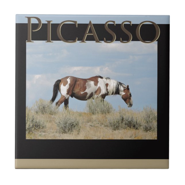 Picasso, Stallion des Sand-Waschbeckens, Colorado Fliese (Vorderseite)