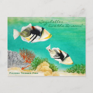 Picasso Trigger Fish Postkarte