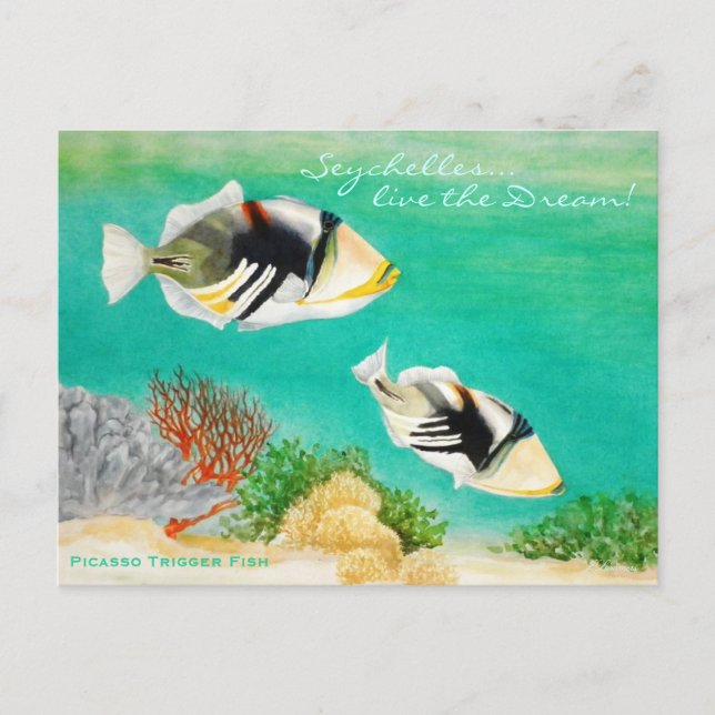 Picasso Trigger Fish Postkarte (Vorderseite)
