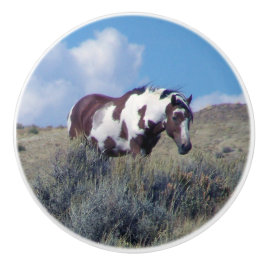 Picasso unter einem blauen Himmel Keramikknauf