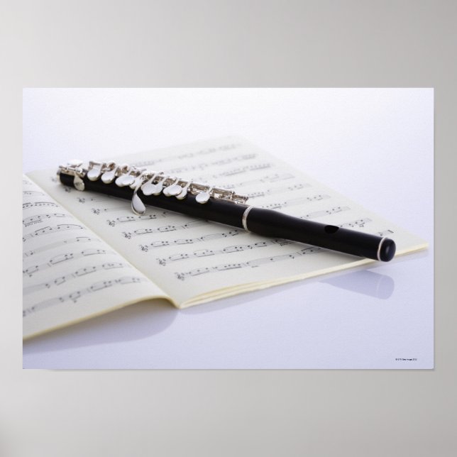 Piccolo Poster (Vorne)