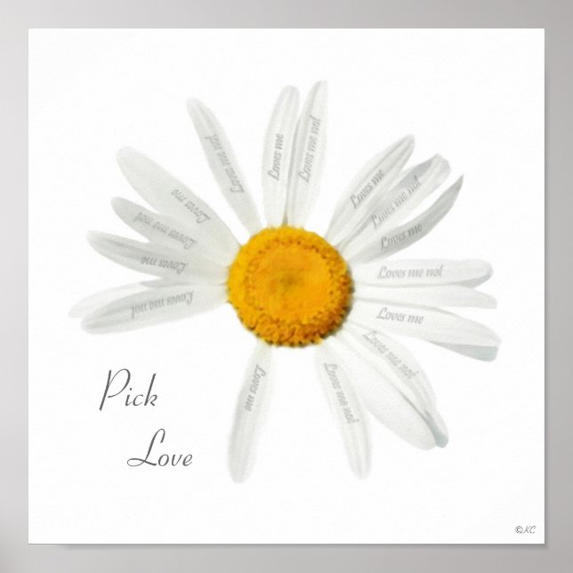 Pick Liebe Daisy Poster (Vorne)