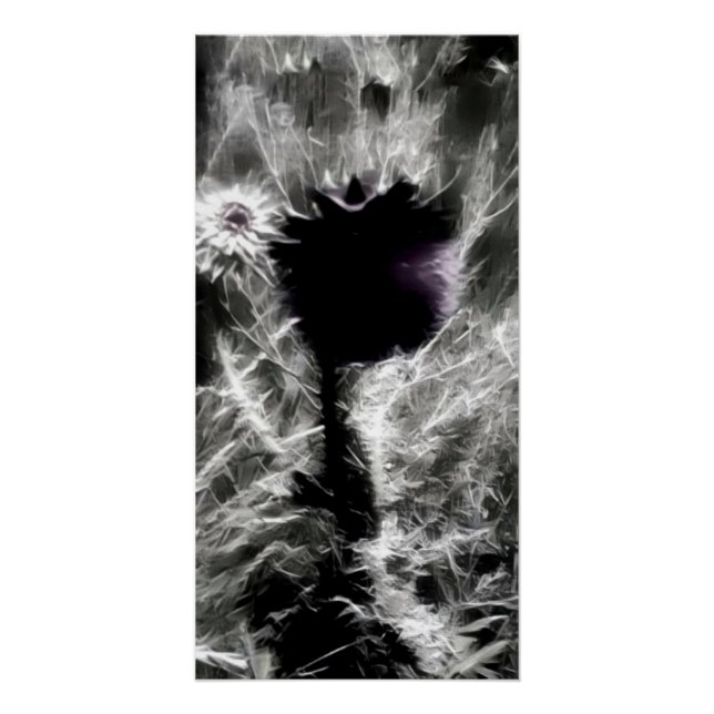 Pick Me Poster (Vorderseite)