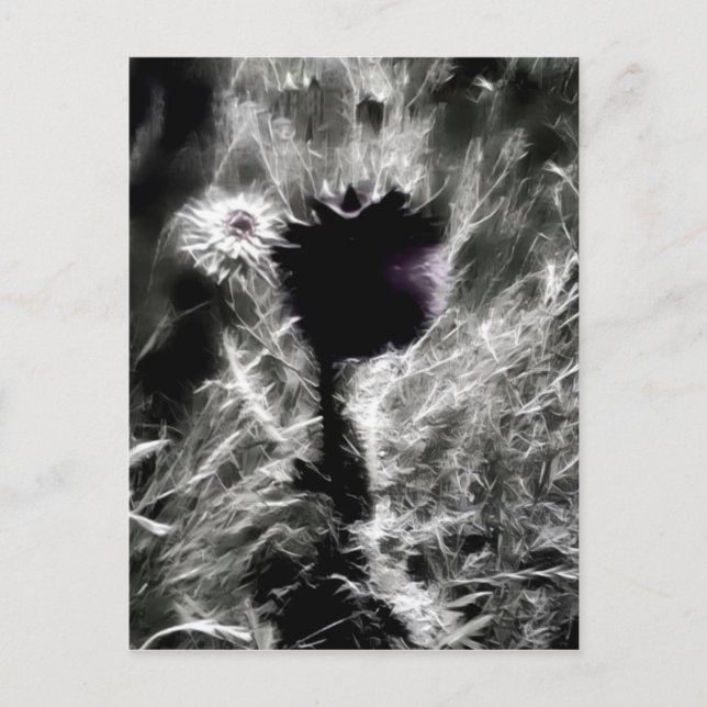 Pick Me Postkarte (Vorderseite)