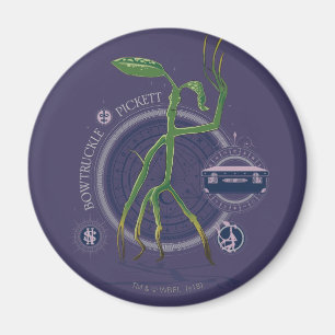 PICKETT™ BOWTRUCKLE™ Graphic Magnet