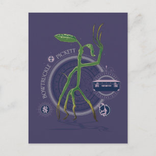 PICKETT™ BOWTRUCKLE™ Graphic Postkarte