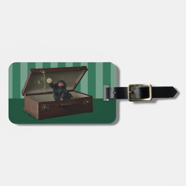Pickett & Teddy in Briefcase Gepäckanhänger (Vorderseite horizontal)