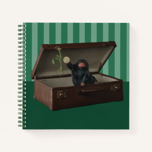 Pickett & Teddy in Briefcase Notizbuch