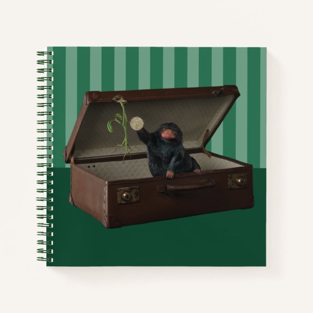 Pickett & Teddy in Briefcase Notizbuch (Vorderseite)