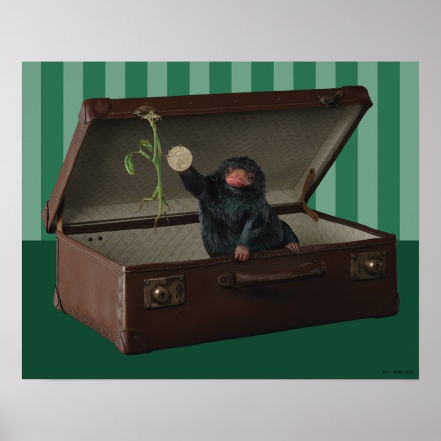 Pickett & Teddy in Briefcase Poster (Vorne)