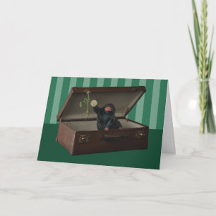 Pickett & Teddy in einem kurzen Vortrag Karte