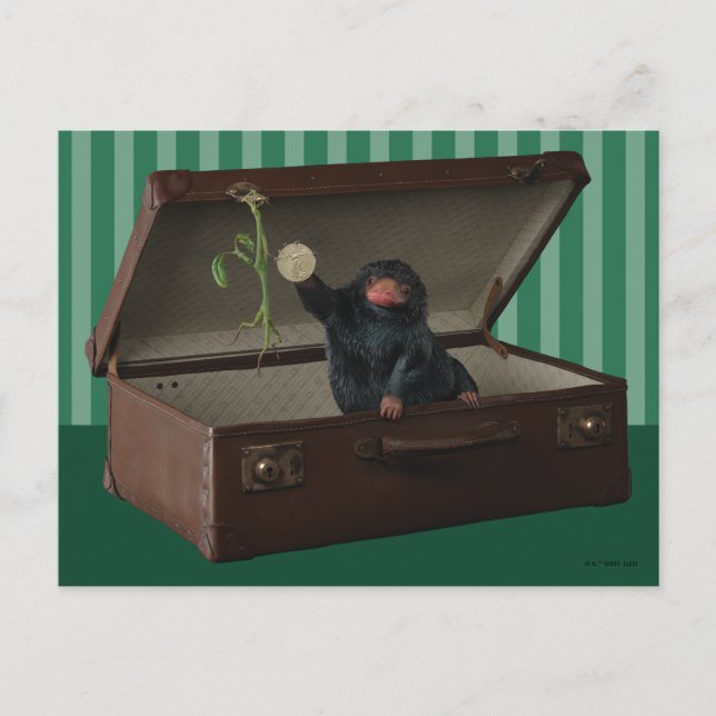 Pickett & Teddy in einem kurzen Vortrag Postkarte (Vorderseite)