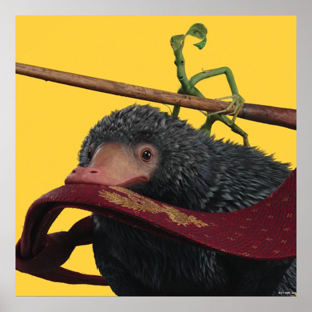 Pickett & Teddy mit Wand und Krawatte Poster (Vorne)