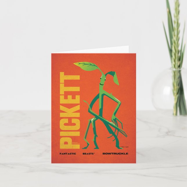 Pickett Vintag Graphic (Vorderseite)