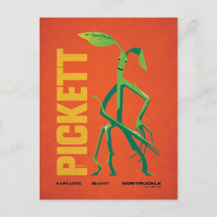 Pickett Vintag Graphic Postkarte
