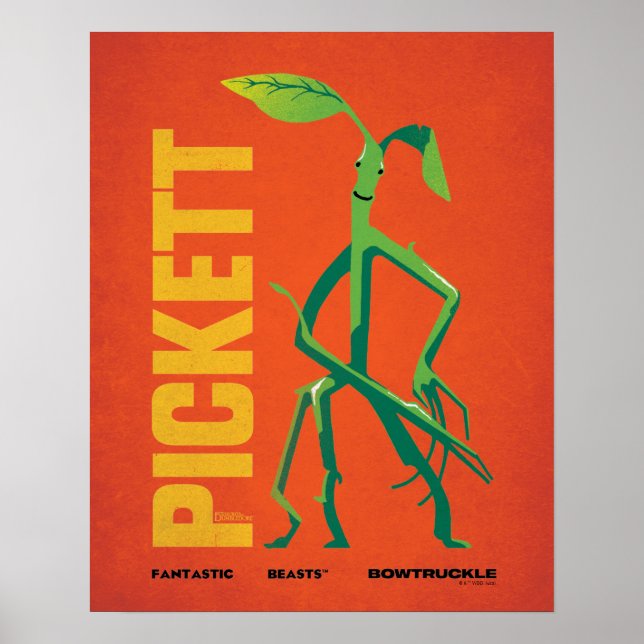 Pickett Vintage Graphic Poster (Vorne)