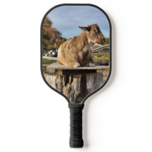Pickleball Paddle "Ziege"