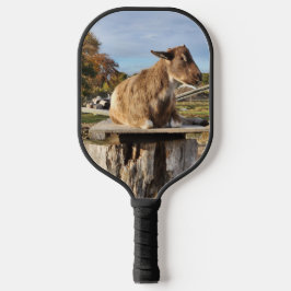 Pickleball Paddle "Ziege"