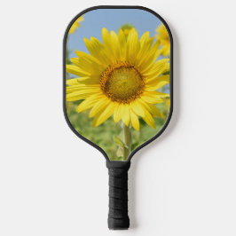 Pickleball-Schläger Pickleball Schläger