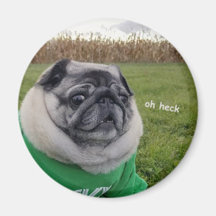 Pickles Heck Magnet