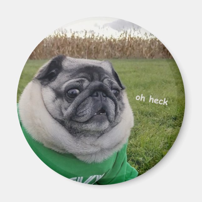 Pickles Heck Magnet (Vorne)
