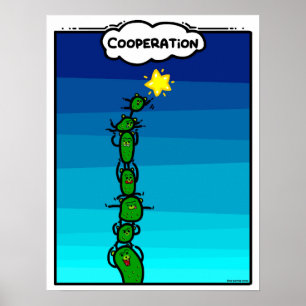 PickleWeasels KOOPERATION Poster