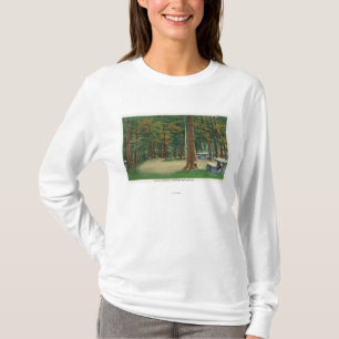 Picknick-Boden-Ansicht von Saratoga Schlachtfeld T-Shirt