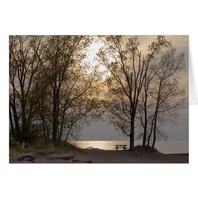 Picknick-Strand (Vorderseite (Horizontal))