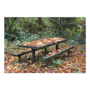 Picnic Bench 19" x 13" Foto Erweiterung