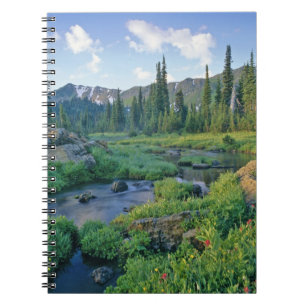 Picnic Creek im Jewel Basin der Swan Notizblock