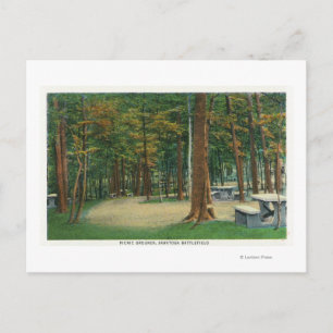 Picnic Grounds View von Saratoga Schlachtfeld Postkarte