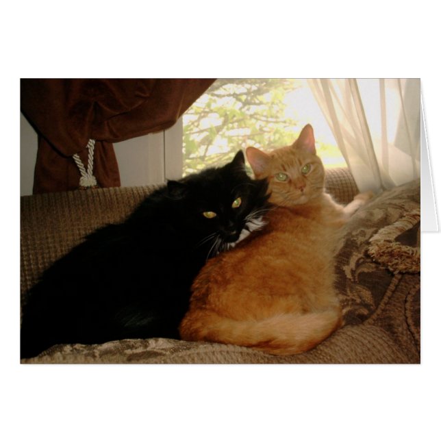 PICT0017 Kitty and Tishabella (Vorderseite (Horizontal))