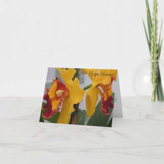 PICT0396, Hoffnungsblüten Dankeskarte (Vorderseite)