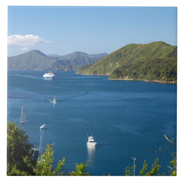Picton Harbour, Marlborough Sounds, Süd Fliese (Vorderseite)