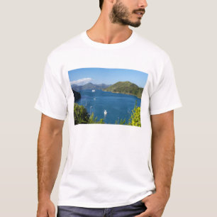 Picton Harbour, Marlborough Sounds, Süd T-Shirt