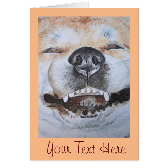 picture of akita smiling funny dog (Vorne)