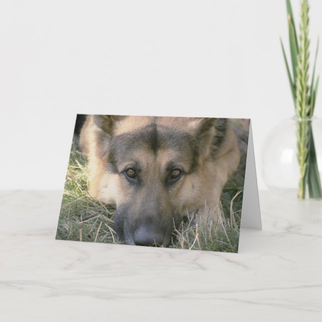 Picture Perfect Niedlich Puppy Dog Karte (Vorderseite)
