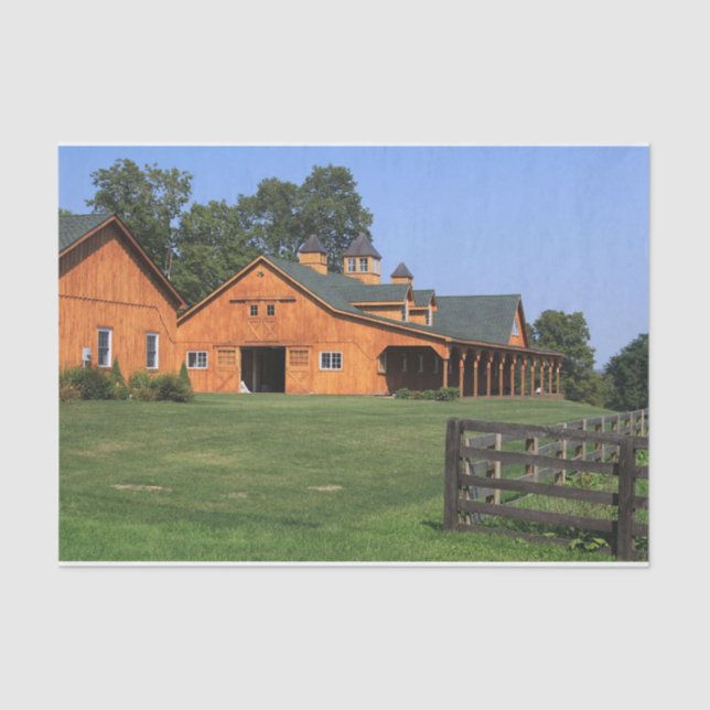 Picture Perfect Pferdeställe auf einem gepflegten  Seidenpapier (Vorderseite)