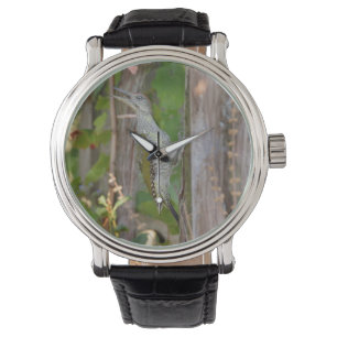 Picus Viridis - Grünspecht Armbanduhr