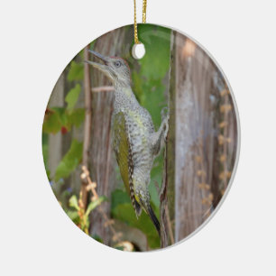 Picus Viridis - Grünspecht Keramikornament