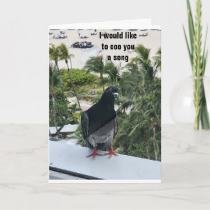 PIDGEON COOING *GLÜCKLICHER GEBURTSTAG* FÜR SIE! KARTE